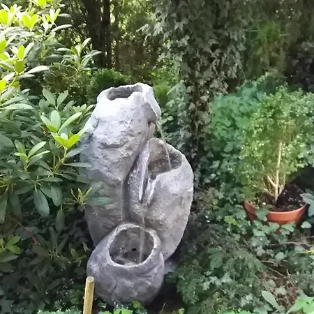 Homestay Dom Wypoczynkowy Anna *